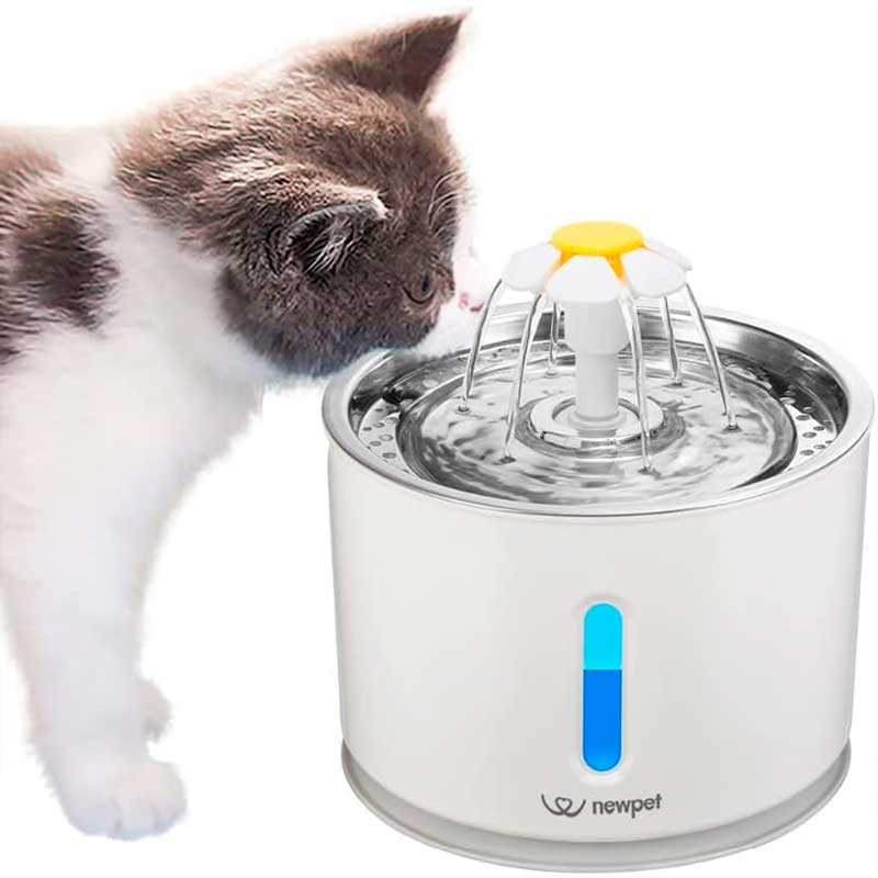 Fonte de Agua para PET Dispensador Automático  - univershope